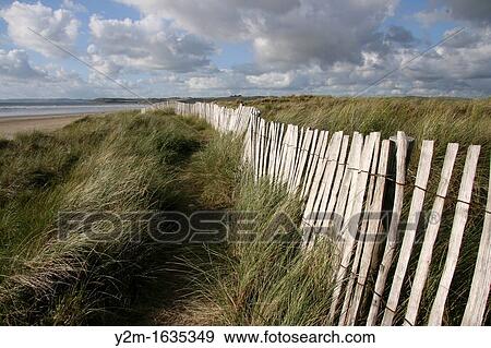Dunes and beach of Britain View Large Photo Image Stock Photo - Dunes and beach of Britain. Fotosearch