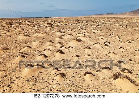Dunes at South Jandia Natural Park, Jandia peninsula, Fuerteventura, Las Palmas, Canary Islands, Spain View Large Photo Image Stock Photo - Dunes at South Jandia Natural Park, Jandia peninsula, Fuerteventura, Las Palmas, Canary Islands, Spain. Fotosearch