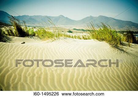 Dunes in ensenada de los Genoveses, Cabo de Gata, Almeria, Spain View Large Photo Image Stock Photograph - Dunes in ensenada de los Genoveses, Cabo de Gata, Almeria, Spain. Fotosearch