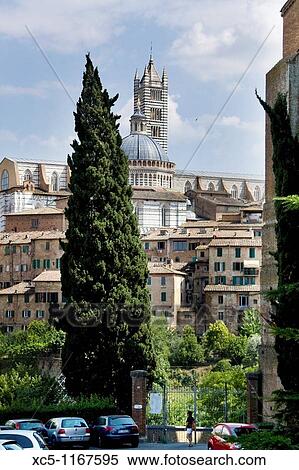 Stock Photography - Duomo, Siena, Tuscany, Italy. Fotosearch