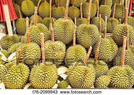 durian for sale in Chinatown in Bangkok, Thailand. View Large Photo Image Stock Image - durian for sale in Chinatown in Bangkok, Thailand.. Fotosearch