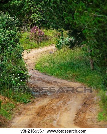 Stock Photo - Dusty in the dry season but damp now in the wet, rural Western Cape Province, South Africa. Fotosearch