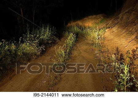 Dusty trail photographed by night at the lights of a car, Spain. View Large Photo Image Stock Image - Dusty trail photographed by night at the lights of a car, Spain.. Fotosearch