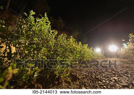 Dusty trail photographed by night at the lights of a car, Spain. View Large Photo Image Stock Image - Dusty trail photographed by night at the lights of a car, Spain.. Fotosearch