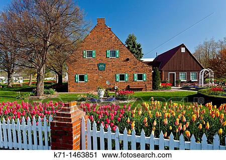 Dutch architecture with spring tulip flowers on Windmill Island, Holland, Michigan, USA View Large Photo Image Stock Image - Dutch architecture with spring tulip flowers on Windmill Island, Holland, Michigan, USA. Fotosearch