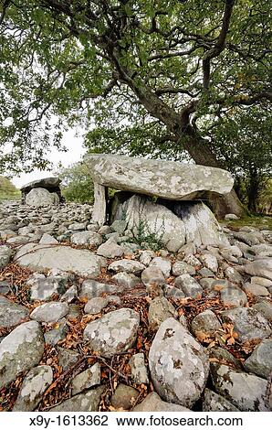 Stock Image - Dyffryn Ardudwy 6000 year old prehistoric megalithic dolmen tomb Two burial chambers in long barrow cairn Gwynedd, Wales, UK. Fotosearch