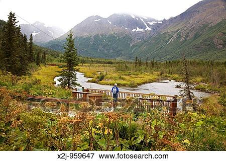Stock Photo - Eagle River, Alaska - A hiker looks over a stream where salmon are spawning in Chugach State Park. Fotosearch