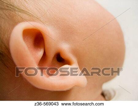 Stock Image - Ear of one week old girl. Fotosearch