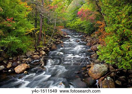 Early fall color on the North Branch Moose River in the Adirondack Mountains of New York State View Large Photo Image Stock Photo - Early fall color on the North Branch Moose River in the Adirondack Mountains of New York State. Fotosearch