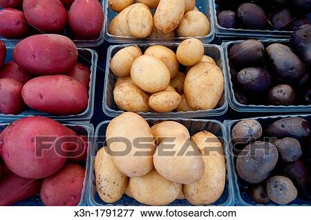 Eastern Shore Virginia potatoes at a farmer's market View Large Photo Image Stock Photo - Eastern Shore Virginia potatoes at a farmer's market. Fotosearch