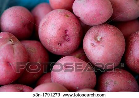 Eastern Shore Virginia potatoes at a farmer's market View Large Photo Image Stock Photo - Eastern Shore Virginia potatoes at a farmer's market. Fotosearch