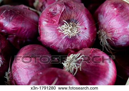 Eastern Shore Virginia red onions at a farmer's market View Large Photo Image Stock Image - Eastern Shore Virginia red onions at a farmer's market. Fotosearch