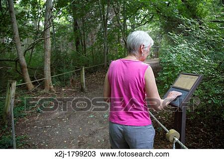 Eastham, Massachusetts - The Buttonbush Trail in Cape Cod National Seashore The trail has guide ropes and interpretive signs in braille for the visually impaired visitor View Large Photo Image Stock Image - Eastham, Massachusetts - The Buttonbush Trail in Cape Cod National Seashore The trail has guide ropes and interpretive signs in braille for the visually impaired visitor. Fotosearch