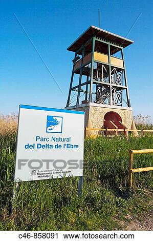 Ebro Delta Natural Park. Tarragona province, Catalonia, Spain View Large Photo Image Stock Image - Ebro Delta Natural Park. Tarragona province, Catalonia, Spain. Fotosearch