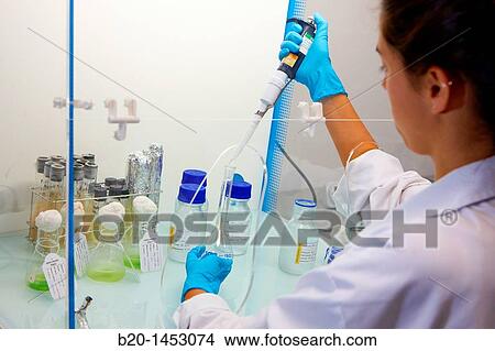 Ecotoxicity and biocide test laboratory, Technology Research Center, Tecnalia Construction, CIDEMCO-Tecnalia Research & Innovation, development of new products and innovative solutions through research and innovation in different fields of activity View Large Photo Image Picture - Ecotoxicity and biocide test laboratory, Technology Research Center, Tecnalia Construction, CIDEMCO-Tecnalia Research & Innovation, development of new products and innovative solutions through research and innovation in different fields of activity. Fotosearch