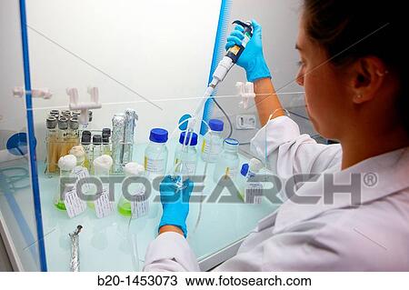 Ecotoxicity and biocide test laboratory, Technology Research Center, Tecnalia Construction, CIDEMCO-Tecnalia Research & Innovation, development of new products and innovative solutions through research and innovation in different fields of activity View Large Photo Image Stock Image - Ecotoxicity and biocide test laboratory, Technology Research Center, Tecnalia Construction, CIDEMCO-Tecnalia Research & Innovation, development of new products and innovative solutions through research and innovation in different fields of activity. Fotosearch