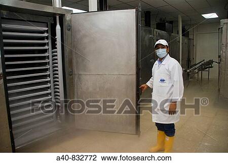 Ecuador. Guayaquil city. Factory shrimp and fish processing. Freezing chamber. View Large Photo Image Stock Image - Ecuador. Guayaquil city. Factory shrimp and fish processing. Freezing chamber.. Fotosearch