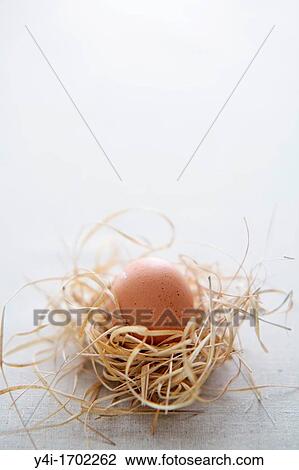 Egg in a nest View Large Photo Image Stock Image - Egg in a nest. Fotosearch