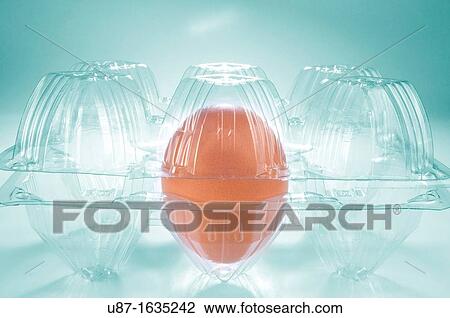 Egg in Plastic Carton View Large Photo Image Stock Image - Egg in Plastic Carton. Fotosearch