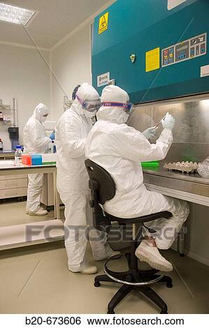 Egg inoculation, Laboratory of Bio-Safety Level P3, Departamento de Producci? n y Sanidad Animal, Neiker Tecnalia, Instituto de Investigaci? n y Desarrollo Agrario, Ganadero, Forestal y del Medio Natural, Euskadi, Spain View Large Photo Image Stock Photograph - Egg inoculation, Laboratory of Bio-Safety Level P3, Departamento de Producci? n y Sanidad Animal, Neiker Tecnalia, Instituto de Investigaci? n y Desarrollo Agrario, Ganadero, Forestal y del Medio Natural, Euskadi, Spain. Fotosearch