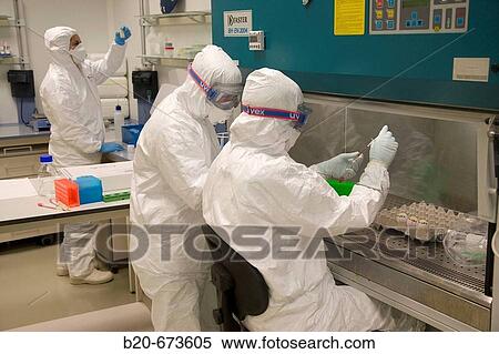 Egg inoculation, Laboratory of Bio-Safety Level P3, Departamento de Producci? n y Sanidad Animal, Neiker Tecnalia, Instituto de Investigaci? n y Desarrollo Agrario, Ganadero, Forestal y del Medio Natural, Euskadi, Spain View Large Photo Image Stock Photography - Egg inoculation, Laboratory of Bio-Safety Level P3, Departamento de Producci? n y Sanidad Animal, Neiker Tecnalia, Instituto de Investigaci? n y Desarrollo Agrario, Ganadero, Forestal y del Medio Natural, Euskadi, Spain. Fotosearch