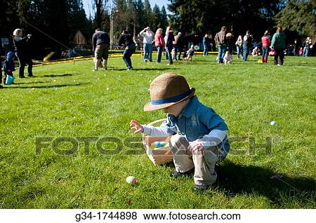 Egg Inspection View Large Photo Image Stock Photo - Egg Inspection. Fotosearch