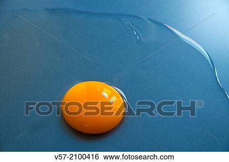 Stock Photograph - Egg on blue surface. Close up.. Fotosearch