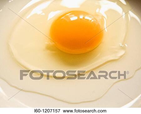 Egg View Large Photo Image Stock Photo - Egg. Fotosearch