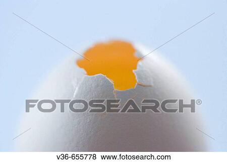 Egg View Large Photo Image Stock Photo - Egg. Fotosearch