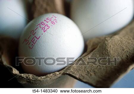 Egg white with pink-date stamp date of laying eggs in carton View Large Photo Image Stock Image - Egg white with pink-date stamp date of laying eggs in carton. Fotosearch