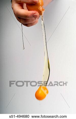 Egg yolk View Large Photo Image Stock Image - Egg yolk. Fotosearch
