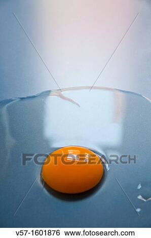 Egg yolk View Large Photo Image Stock Photograph - Egg yolk. Fotosearch