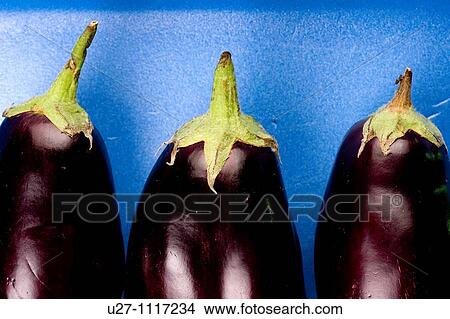Eggplant View Large Photo Image Picture - Eggplant. Fotosearch