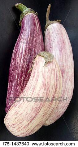 eggplants View Large Photo Image Stock Image - eggplants. Fotosearch