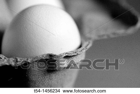 Eggs in a Box View Large Photo Image Picture - Eggs in a Box. Fotosearch