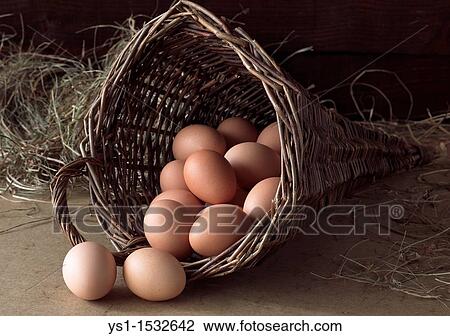 Stock Image - Eggs in Basket. Fotosearch