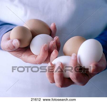 Eggs View Large Photo Image Stock Image - Eggs. Fotosearch