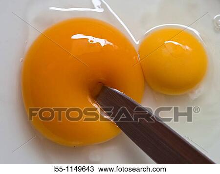 Eggs View Large Photo Image Stock Image - Eggs. Fotosearch