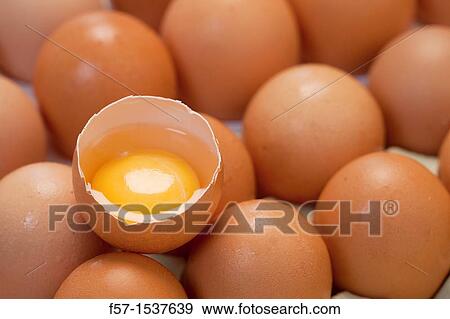 Stock Photo - Eggs. Fotosearch