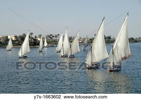 Egypt, river Nile with traditional sailboats feluccas at Luxor View Large Photo Image Stock Image - Egypt, river Nile with traditional sailboats feluccas at Luxor. Fotosearch