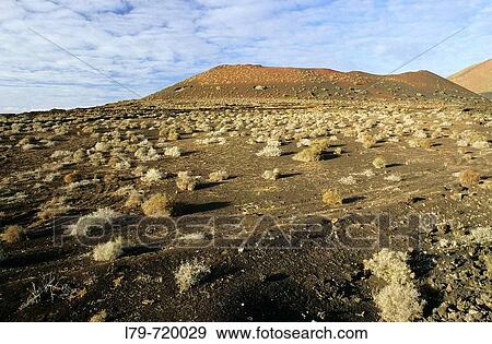 El Golfo, Lanzarote, Spain View Large Photo Image Stock Photo - El Golfo, Lanzarote, Spain. Fotosearch