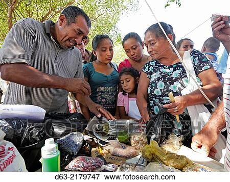 El Salvador. Seed exchange. An event organized by JDS so that local farmers can exchange seeds and other produce such as rabbits, honey, fish and other food products, View Large Photo Image Stock Photo - El Salvador. Seed exchange. An event organized by JDS so that local farmers can exchange seeds and other produce such as rabbits, honey, fish and other food products,. Fotosearch