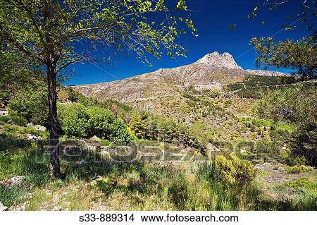 El Torozo. Sierra de Gredos. Castile-Leon. Spain. View Large Photo Image Picture - El Torozo. Sierra de Gredos. Castile-Leon. Spain.. Fotosearch