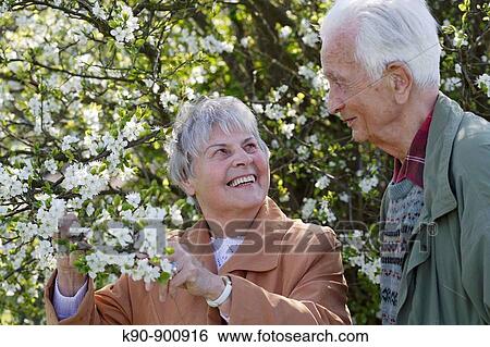 Stock Photograph - Elderly caucasian couple looking at each other while holding a tree branch with white blossoms, Island of Amrum, Northfrisian, Schleswig_Holstein, Northern Germany, Europe. Fotosearch