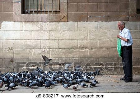 Elderly man feeding pigeons, Carrer Hospital in El Raval neighborhood, Barcelona. Catalonia, Spain View Large Photo Image Stock Photo - Elderly man feeding pigeons, Carrer Hospital in El Raval neighborhood, Barcelona. Catalonia, Spain. Fotosearch