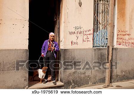 elderly woman with dog in La Habana Vieja, Havana, Cuba, Caribbean. View Large Photo Image Stock Photo - elderly woman with dog in La Habana Vieja, Havana, Cuba, Caribbean.. Fotosearch