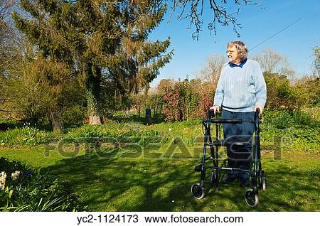 Elderly woman with her rollator walking frame in a cottage garden in Suffolk, England, Great Britain, Uk View Large Photo Image Stock Image - Elderly woman with her rollator walking frame in a cottage garden in Suffolk, England, Great Britain, Uk. Fotosearch