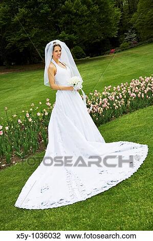 Elegant Bridal Portrait View Large Photo Image Stock Image - Elegant Bridal Portrait. Fotosearch