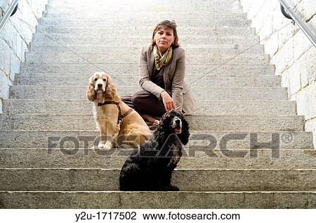 Elegant woman sitting on stairs with her two cocker spaniel dogs View Large Photo Image Stock Image - Elegant woman sitting on stairs with her two cocker spaniel dogs. Fotosearch