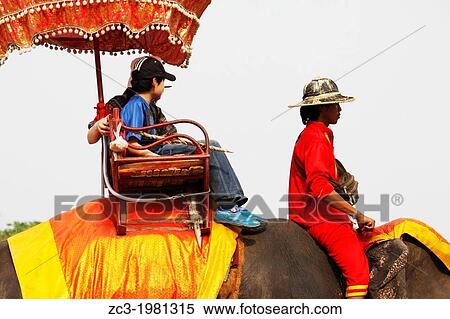 Elephant, Ayutthaya, Thailand. View Large Photo Image Stock Photography - Elephant, Ayutthaya, Thailand.. Fotosearch